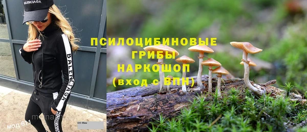 спиды Алексин