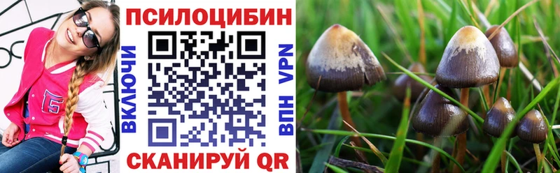 Псилоцибиновые грибы MAGIC MUSHROOMS  где можно купить   hydra маркетплейс  Волгоград 