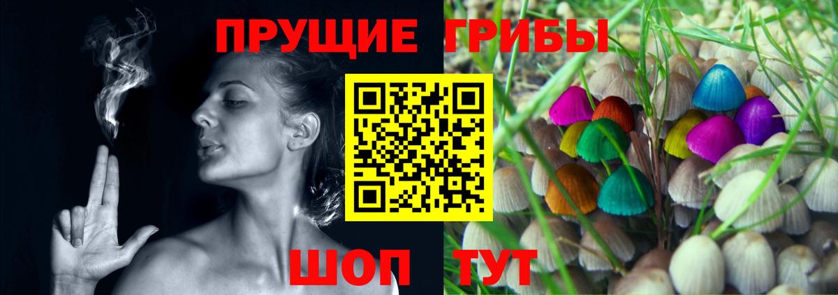 Галлюциногенные грибы Cubensis Волгоград